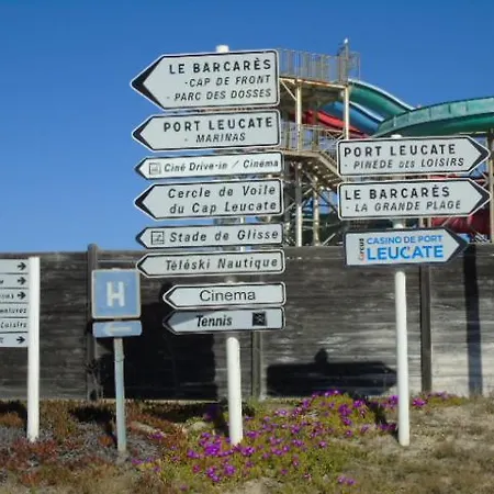 Douce Toison D'or Avec Clim