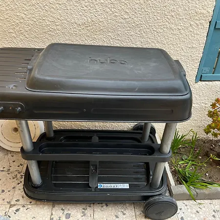 Douce Toison D'or Avec Clim