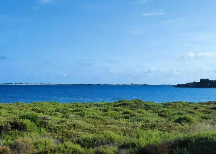 Douce Toison D'or Avec Clim * לה ברקרה