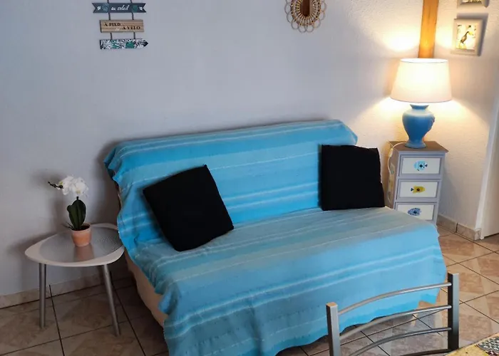 Douce Toison D'or Avec Clim