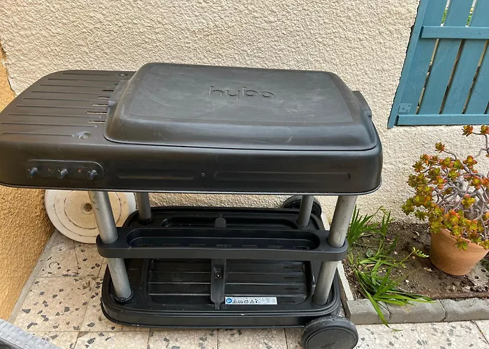 Douce Toison D'or Avec Clim